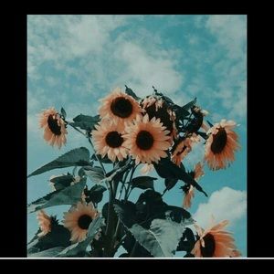 Meet your Posher, Kylee🌻🌻